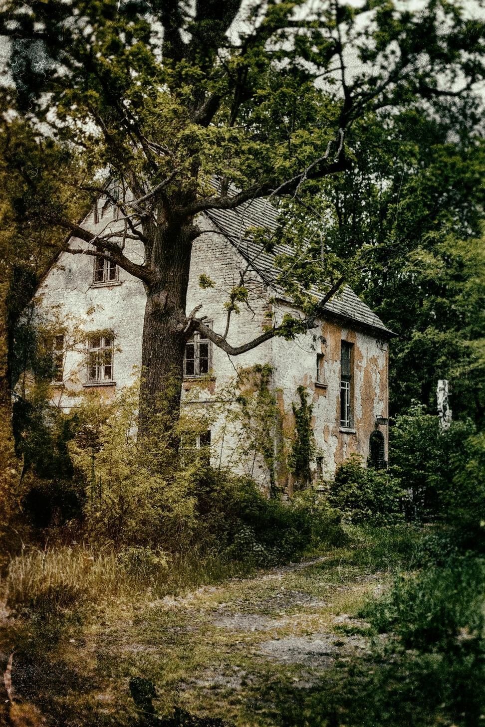 Before Renovation